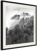 Αφίσα - Foggy Forest - 30x30 - Μαύρο - Με πασπαρτού