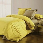 Σεντόνι Colours Lime Pierre Cardin Μονό 170x260cm Χωρίς Λάστιχο 100% Βαμβάκι