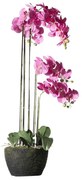 Τεχνητό Φυτό Ορχιδέα Με Βάση Moss 7170-6 44x44x110cm Fuchsia Supergreens Πολυαιθυλένιο