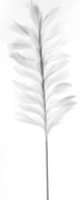 Τεχνητό Κλαδί Pampas Pilosa 9081-7 120cm White Supergreens Ύφασμα,Πλαστικό