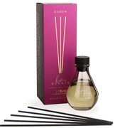 Αρωματικό Χώρου 100ml Με Στικς Avgerinos Cosmetics Queen