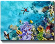 Πίνακας Καμβάς 529TCR1265 70x50cm Multi Wallity Οριζόντιοι Wood, Canvas