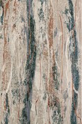 Χαλί Laguna 83030/9262 Beige-Multi Carpet Couture 160X230cm