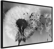 Αφίσα - Dandelion in the Wind - 60x40 - Μαύρο - Χωρίς πασπαρτού