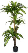 Τεχνητό Δέντρο Dracaena I 316-000009 170cm Green Inart Polypropylene