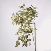 Τεχνητός Κρεμαστός Κολεός Blumei Mission Gem 2131-7 18x22x68cm Multi Supergreens Polyethylene