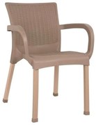 Πολυθρόνα Πολυπροπυλένιου Rattan 60x60x82 HM5591.02 Capuccino