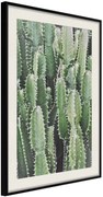 Αφίσα - Cactus Plantation - 40x60 - Μαύρο - Με πασπαρτού