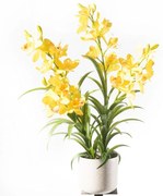 Τεχνητό Φυτό Ορχιδέα Cymbidium Orchid 3401-6 80cm Yellow Supergreens Ύφασμα,Πλαστικό