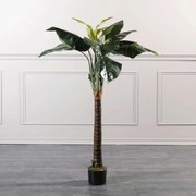 Τεχνητό Δέντρο Αλοκάσια 4760-6 60x60x150cm Green Supergreens Polyethylene