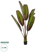 20118 GloboStar®  Artificial Garden BLOODY BANANA TREE 20118 - Τεχνητό Διακοσμητικό Φυτό Αιματόφυλλη Μπανανιά - Μπανανόδεντρο Υ190cm