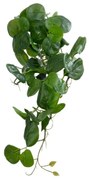 Τεχνητό Φυτό Κρεμαστό Πεπερόμια 20599 30x31x50cm Green GloboStar Plastic, Fabric