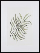 Κάδρο Seaplant III