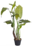 Τεχνητό Δέντρο Αλοκάσια Arrow 2311-6 100cm Green Supergreens Πολυαιθυλένιο