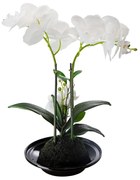 Artekko Orchid Τεχνητή Λευκή Ορχιδέα σε Μαύρο Κασπώ (32x15x34)cm