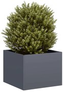 vidaXL Ζαρντινιέρα Ανθρακί 40x40x30 εκ. από Χάλυβα
