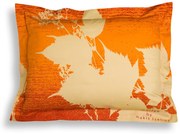 Makis Tselios Home Σετ Μαξιλαροθήκες Dande 50x70cm