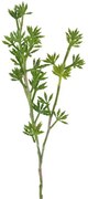 Τεχνητό Κλαδί Σέδο Πράσινο 61 εκ. 9441-7 Supergreens-9441-7-Πράσινο 9441-7