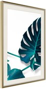 Αφίσα - Turquoise Monstera I - 40x60 - Χρυσό - Με πασπαρτού