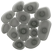 Αντιολισθητικό Minis Sassolino 4123 Set 6pcs Rauch Grey Kleine Wolke PVC