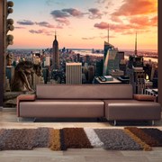 Φωτοταπετσαρία - New York: The skyscrapers and sunset 350x245