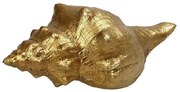 Διακοσμητικό Κοχύλι MT2719K4 14x6,5x5cm Gold Espiel Πολυρεσίνη