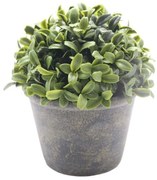 Τεχνητό Φυτό Σε Γλάστρα Πυξάρι 832385 15,3x15,3x15,9cm Green-Beige Ankor Ceramic
