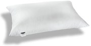The Dream Pillow Medium 50x70 1000001