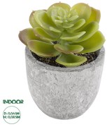 GloboStar® Artificial Garden SUCCULENT SEDEVERIA 21021 Διακοσμητικό Φυτό Παχύφυτο Σεντεβέρια Υ8.5cm