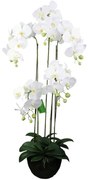 Supergreens Τεχνητό Φυτό Ορχιδέα Phalaenopsis Λευκό 67 εκ.