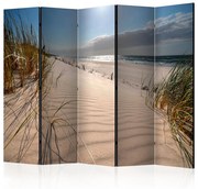 Διαχωριστικό με 5 τμήματα - Beach in Mrzezyno II [Room Dividers] 225x172