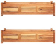 vidaXL Ζαρντινιέρες Υπερυψωμένες 2 τεμ. 100x30x25 εκ. από Ξύλο Ακακίας