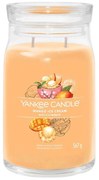 Αρωματικό Κερί Signature Mango Ice Cream Large 1632326E 9,3x15,7cm Orange Yankee Candle