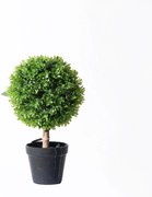 Supergreens Τεχνητό Φυτό Πυξάρι Μπονσάι Πράσινο 35 εκ