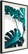 Αφίσα - Turquoise Monstera II - 40x60 - Μαύρο - Με πασπαρτού