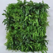 Foliage - Branch SILK-KA 1m² 126656-GR