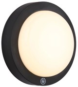 Φωτιστικό Οροφής Globo Lighting LASSE 12379A 3000K