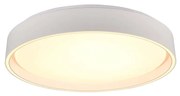 Φωτιστικό Οροφής RL Lighting Felis R64391031 Λευκό Ματ