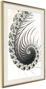 Αφίσα - Fractal Spiral (Positive) - 40x60 - Χρυσό - Με πασπαρτού