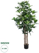 20056 GloboStar®  Artificial Garden FORTUNE GUIANA TREE 20056 Τεχνητό Διακοσμητικό Φυτό Καστανιά του Μαλαμπάρ Υ160cm
