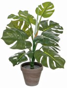 Τεχνητό Φυτό Σε Γλάστρα 48εκ. Edelman Monstera 1044541