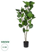 GloboStar® Artificial Garden POLYSCIAS BALFOURIANA TREE 20374 Τεχνητό Διακοσμητικό Φυτό Πολυσκιά Υ110cm