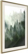 Αφίσα - Steaming Forest - 40x60 - Χρυσό - Με πασπαρτού