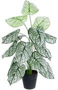 Τεχνητό Φυτό Caladium 20908 Φ60x75cm Green-White GloboStar Πολυαιθυλένιο,Ύφασμα