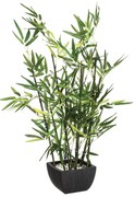 Φυτό σε γλάστρα Green pakoworld 43x34x67εκ 199-000211