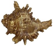 Διακοσμητικό Χώρου Κοχύλι MT2727K2 14x12,5x9,5cm Gold Espiel Polyresin
