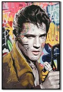 ΠΙΝΑΚΑΣ ΣΕ ΚΑΜΒΑ ΜΕ ΠΛΑΣΤΙΚΟ ΠΛΑΙΣΙΟ Fylliana &quot;Elvis Presley&quot; 62x4x92cm
