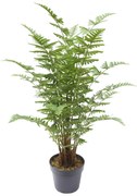 Supergreens Τεχνητό Φυτό Φτέρη Maidenhair Πράσινο 90 εκ
