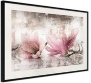 Αφίσα - Picked Magnolias - 60x40 - Μαύρο - Με πασπαρτού