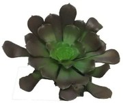 Τεχνητό Χωνευτό Παχύφυτο Καφέ 10 εκ. 5201-7 Supergreens-5201-7-Καφέ 5201-7